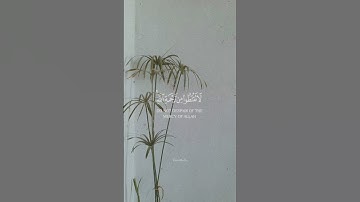 سورة الزمر #هزاع_البلوشي #قرآن