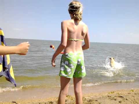 Laika playing on the beach