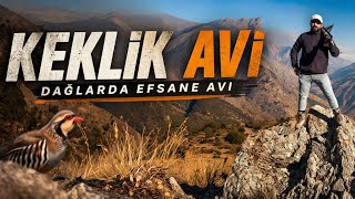 Terkedi̇lmi̇ş Yerlerde Tek Başina. 2025 - 2026 Kekli̇k Avi. Partri̇dge Hunti̇ng. Wi̇ldli̇fe. Охота На Парада