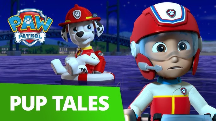 Moto Porteur Paw Patrol Skye et Everest