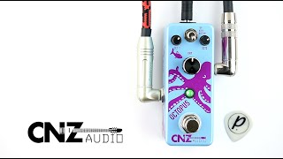 CNZ Audio SOC-10 Octopus Octave - YouTube