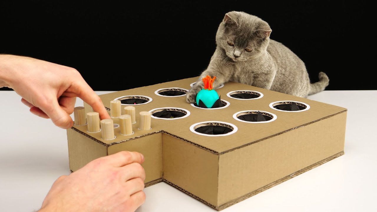 diy interactive cat toys