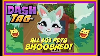 Dash Tag: All 101 Pets SMOOSHED Against Screen Compilation!