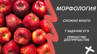 Морфологические нормы причастий и деепричастий