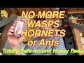 How to safely kill ALL of the Hornets (Yellow Jackets) for miles. Works for Wasps and Ants too.