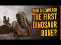 How Were Dinosaur Fossils Not Discovered Until The 1800s?