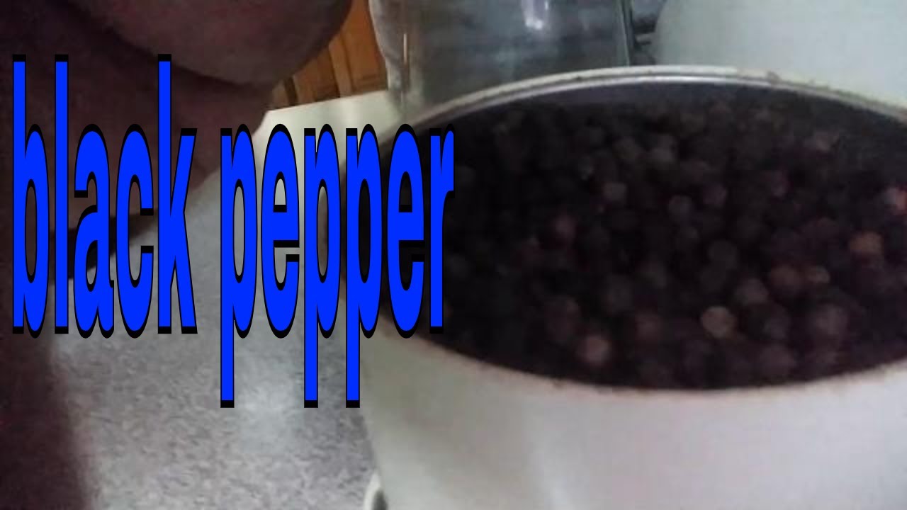 How to make black pepper powder YouTube