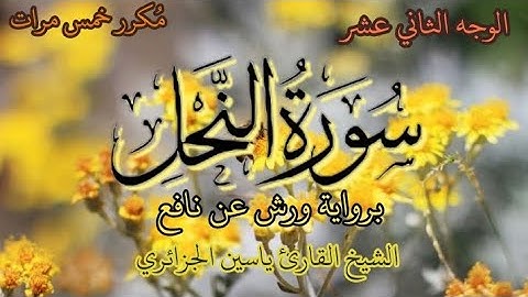 سورة النحل | الوجه الثاني عشر | برواية ورش عن نافع | القارئ الشيخ ياسين الجزائري