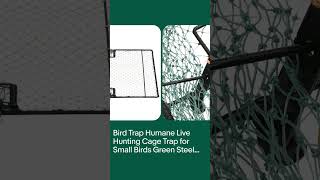 Bird Trap Humane Live Hunting Cage Trap for Small Birds Green Steel vidaXL
