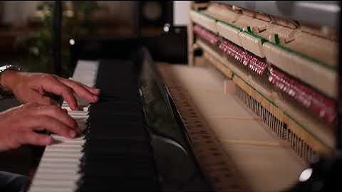 Perséides - Jozef De Schutter (live session)