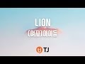TJ노래방 LION 여자 아이들 TJ Karaoke 