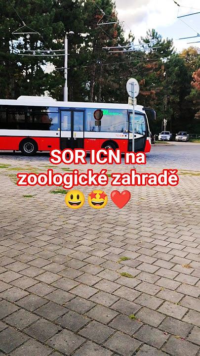 ICN na zoologické zahradě 😃😃🤩 #brno #busses #dpmb