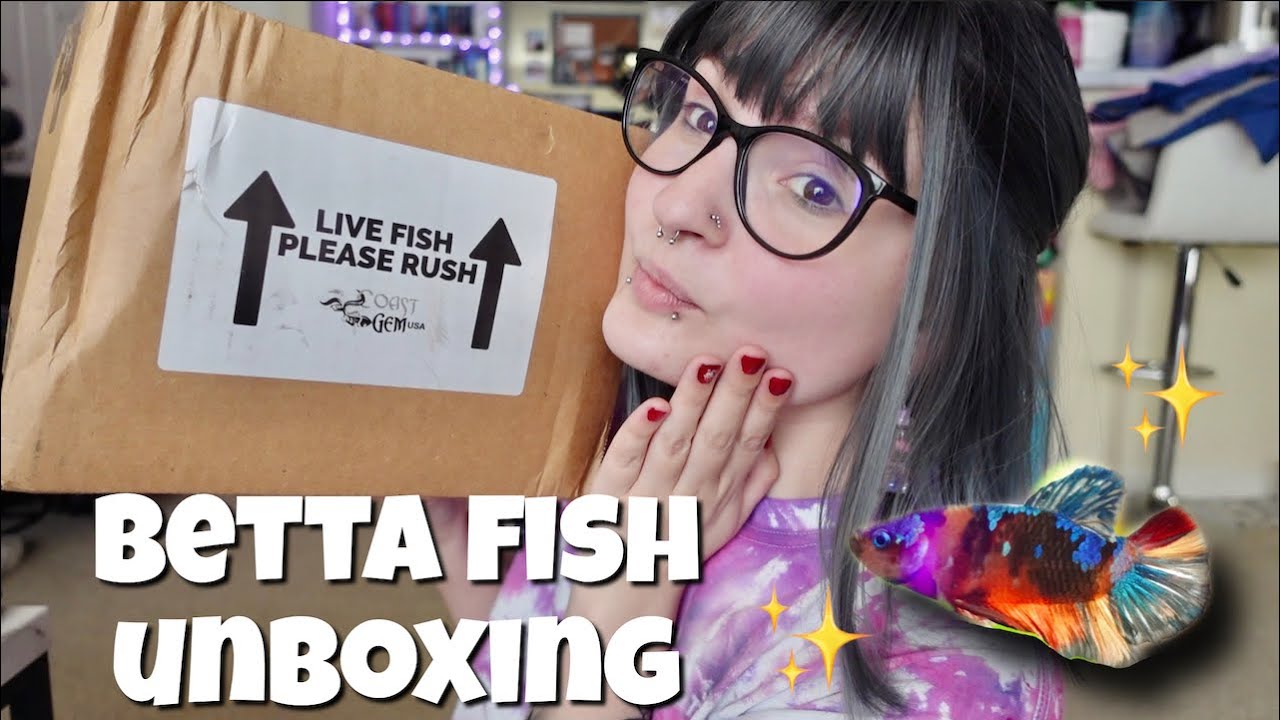 unboxing my new betta fish🐠 
