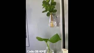 192108444 2888455024750621 3132749787361624220 n 1