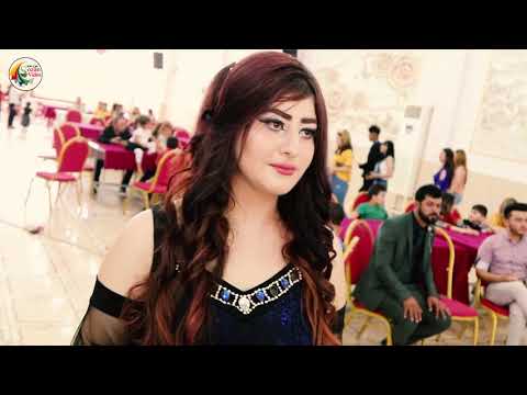 جديد الفنان مازن شنكالي تصوير سوزان فيديو 