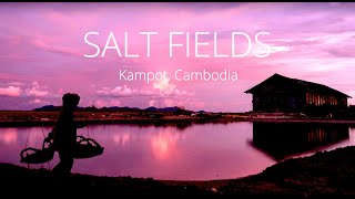 Salt Fields, Kampot, Cambodia