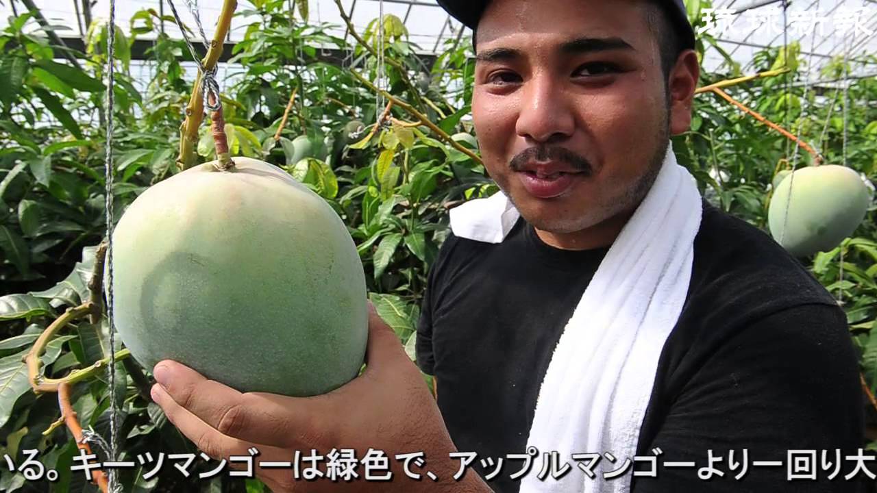 Phantom Fruit