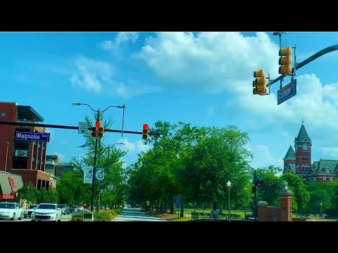 Road trip from Cheaha State Park to Auburn University #auburnuniversity #alabama