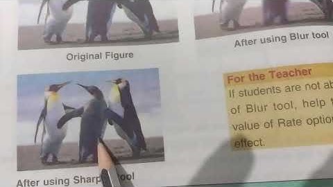 class 7 chapter 5 GIMP tools part 2