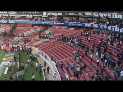 Pelea entre barras | Querétaro vs Atlas‼️