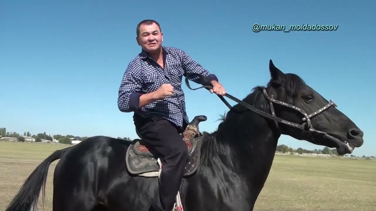 Жамбыл облысы Жамбыл ауданы Байділдаевтар әулеті Андреан көкеміздің мерейлі 60 жас той көкпары