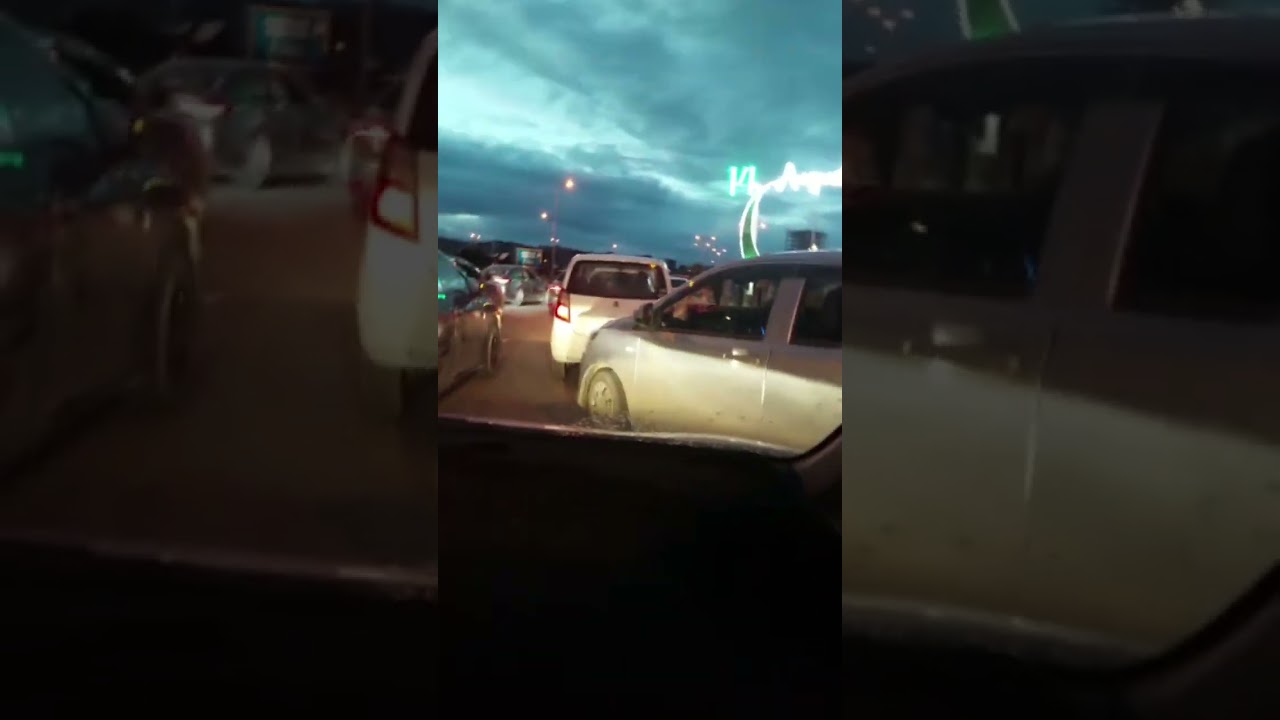 🇵🇰 Family Celebrates Independence Day 💚 | Viral Video 