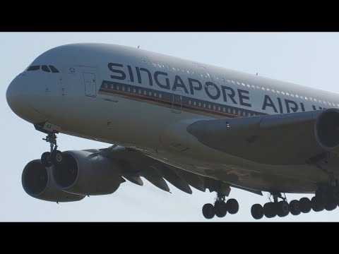 34 BIG PLANES Landing at London Heathrow Airport (LHR) | Early Morning Arrivals