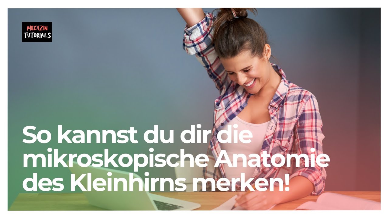 Neuroanatomie: Mikroskopische Anatomie des Cerebellums … — Transcript