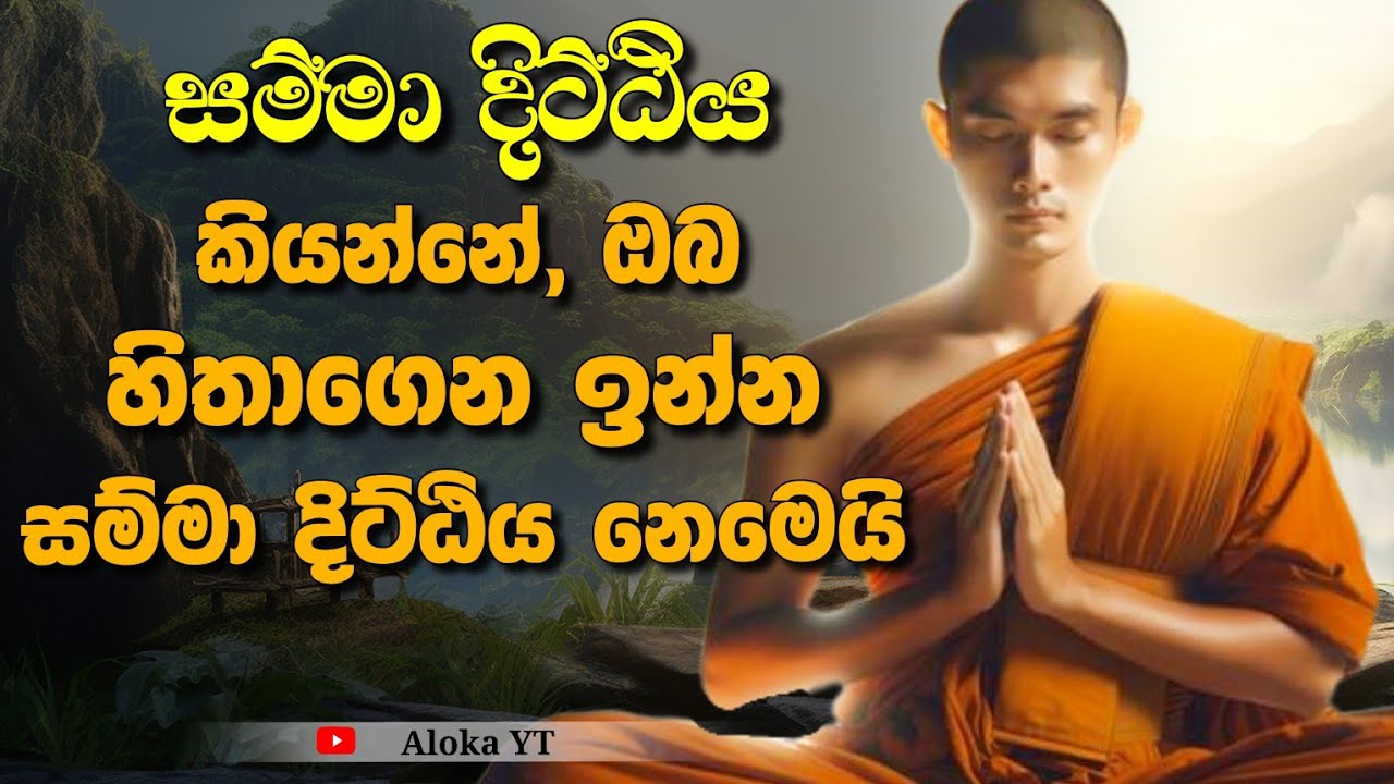 සතිය හරහා සම්මා දිට්ඨිය උපදවා ගැනීම | Mindfulness in sinhala | @alokaalighttolife