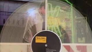 Video thumbnail of "Terry Hall - Ballad Of A Landlord (Acoustic Version)"