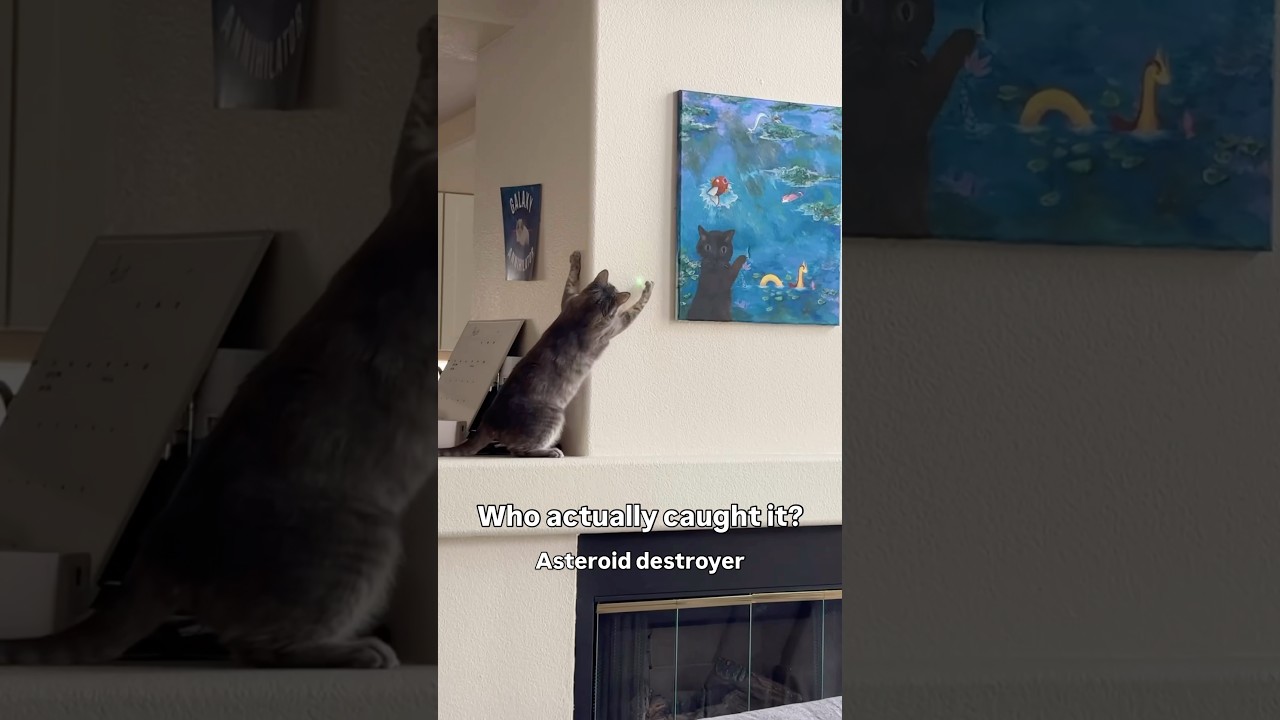 It took months to actually coordinate this video so perfectly