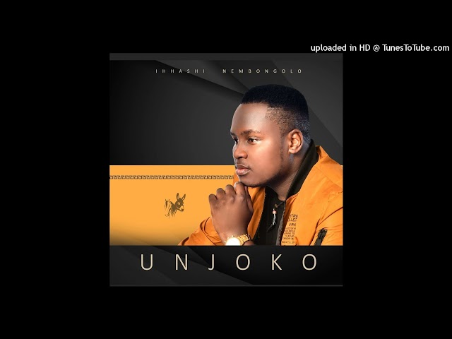 UNjoko-I-Pandemic (Official Audio 2021) class=