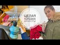 Посылка / Украшаем класс / Новая лампа