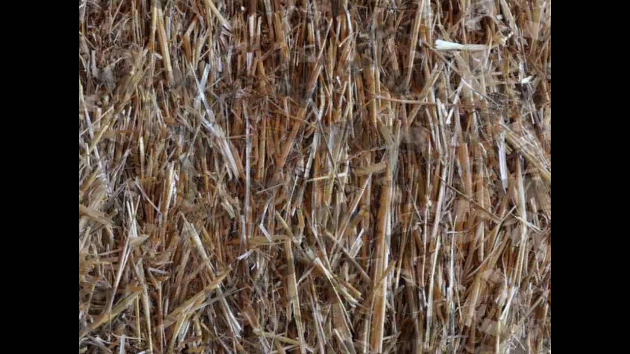 EcoRoots intervista l'architetto Paolo Robazza (EVA)