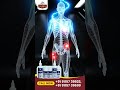 Arthralgia Joint Pain Relief Kit | Ayurvedic Treatment for Joint Pain
