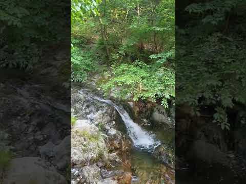 #김학래ㅡ해야해야(원겸)