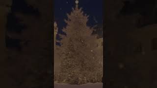 Winter Ambience Christmas Music/ Relaxing Christmas Ambient Music for Studying #christmas #jazzsongs