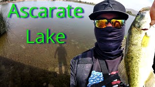 Best Time To Fish Ascarate