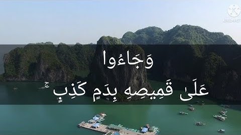 وَجَاءُوا عَلَىٰ قَمِيصِهِ بِدَمٍ كَذِبٍ ۚ #روائع_التلاوات