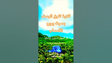 تلاوة تفوق الوصف بصوت تخشع له القلوب #elmulquranعلم #قران_كريم #تلاوة  #trend #اكسبلور #aslam