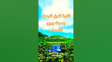 تلاوة تفوق الوصف بصوت تخشع له القلوب #elmulquranعلم #قران_كريم #تلاوة  #trend #اكسبلور #aslam