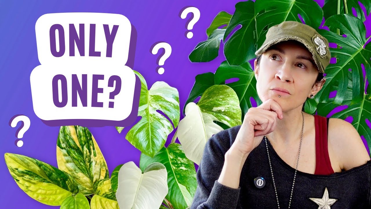 Only ONE Plant Per Genus?! Here’s What I’d Keep