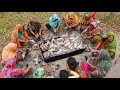 73.5 KG Alive Tilapia Fish Cutting & Clean By Women - Tasty Bengali Fish Curry Cooking By Boys