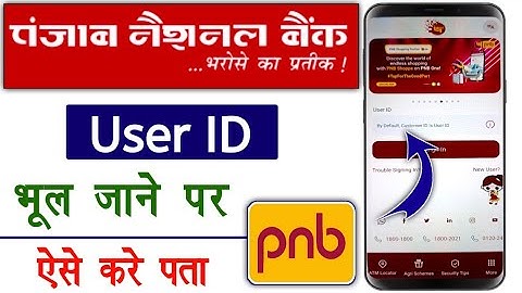 pnb bank account user id bhul gye to kya kare | pnb user id kaise pata kare | user id find online
