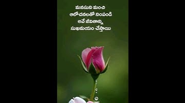 మనం శ్రమని నమ్ముకోవాలి 🫶 #shorts #motivation #quotes #telugu #voice