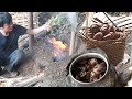 Delicious Food In The Tropical Rainforest, Survival Instinct, Wilderness Alone (ep102)