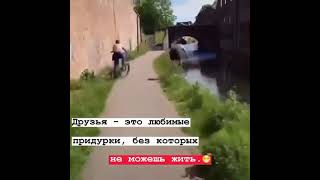 ты вой лучше друг🤣😹