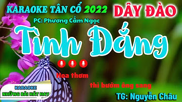 Karaoke Tân Cổ Tình Đắng I NS Phương Cẩm Ngọc I Dây Đào I Beat Hay