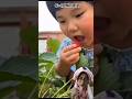 Petik STRAWBERRY ‼️DrMixStories #funny #comedyshorts #reactionshorts #videoshorts #shortsvideo