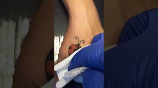 cute/ Ladybug 🐞/ tattoo/ #mig21tattoozstudo #bangalore #subrayan